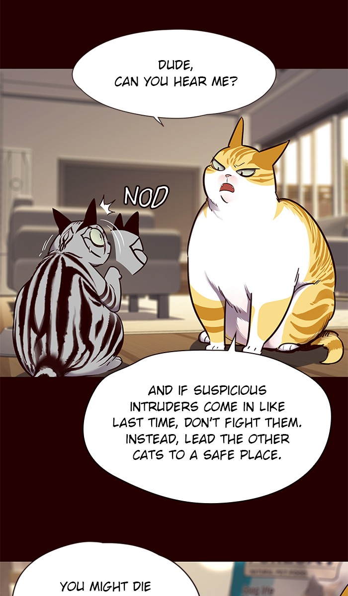 Read Eleceed – Manhwa EN Manga Online