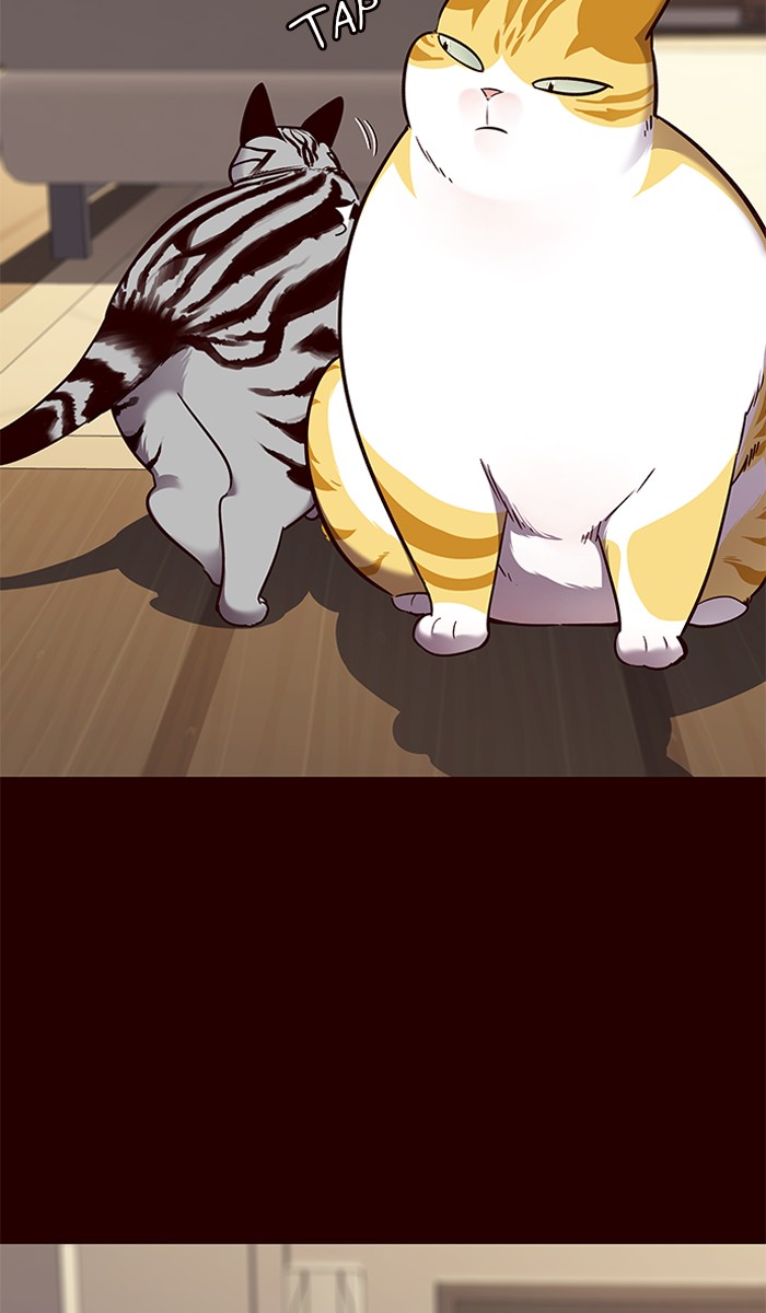 Read Eleceed – Manhwa EN Manga Online