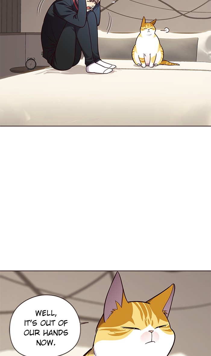 Read Eleceed – Manhwa EN Manga Online
