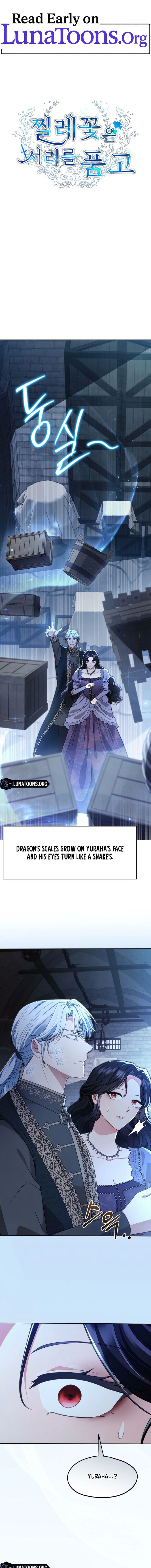 Read The Wild Rose Embraces the Frost EN Manga Online