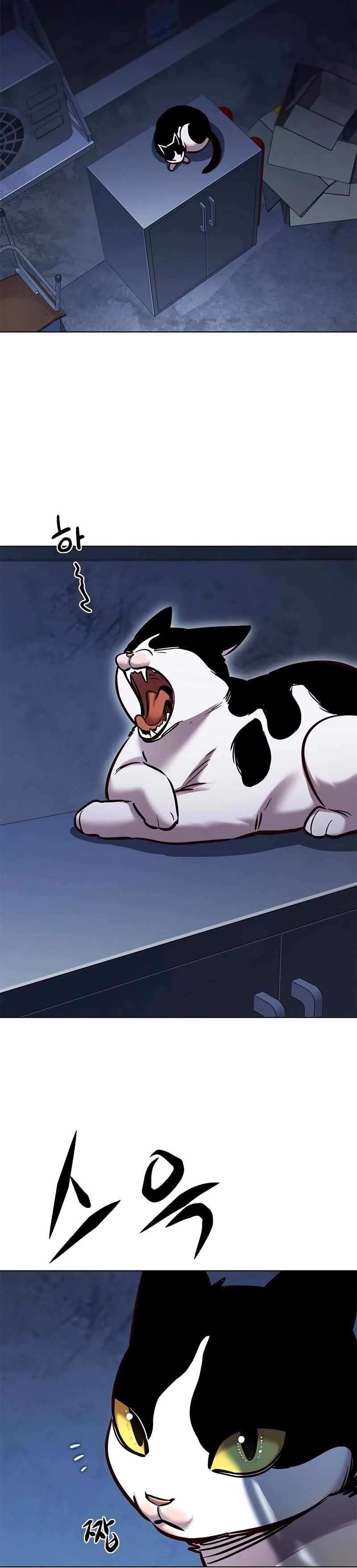 Read Veletric PT Manga Online