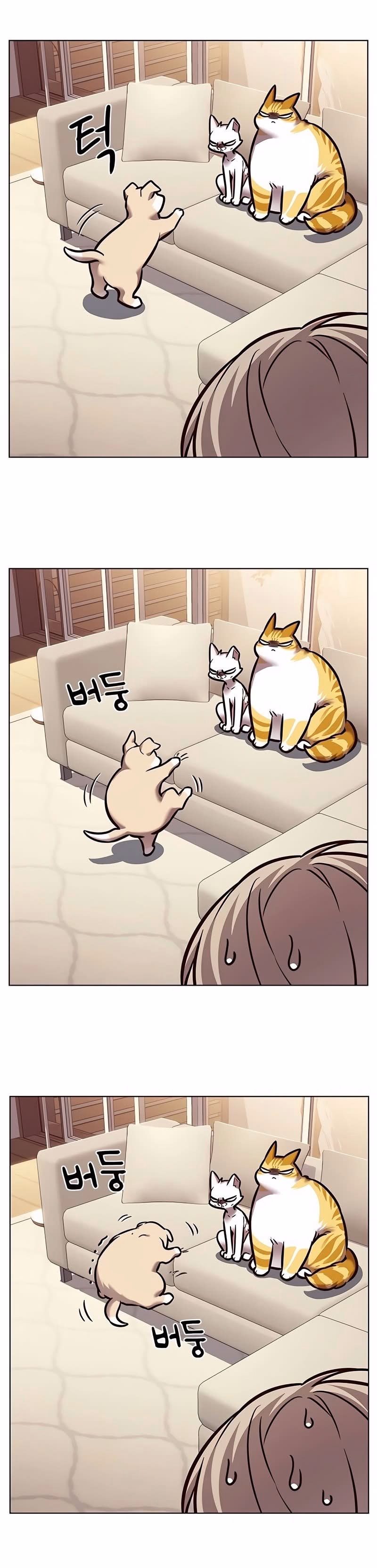 Read Veletric PT Manga Online