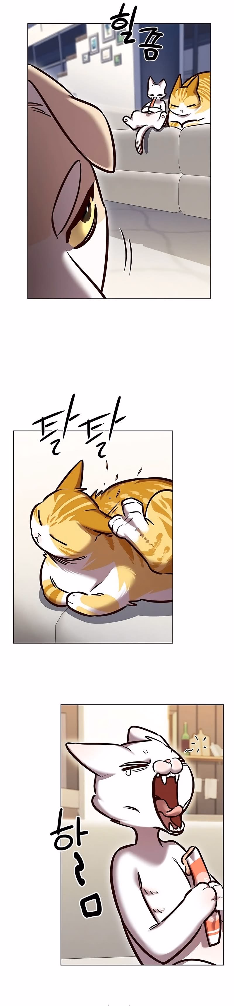 Read Veletric PT Manga Online