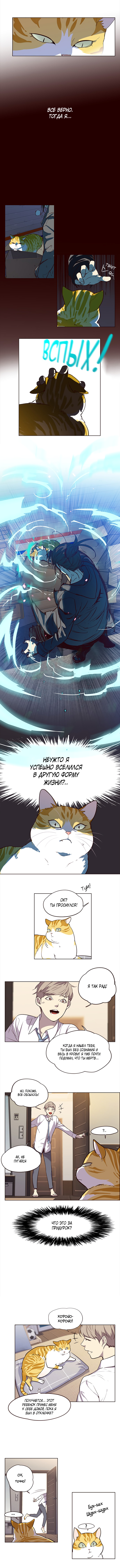 Read Элисед RU Manga Online