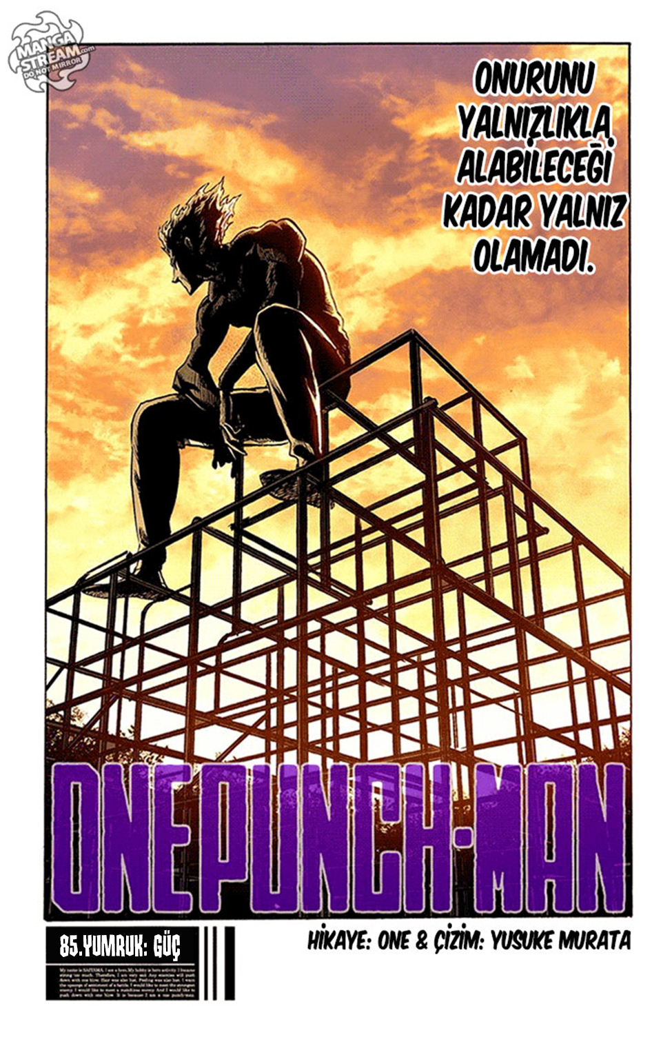 Read Tek Yumruk TR Manga Online