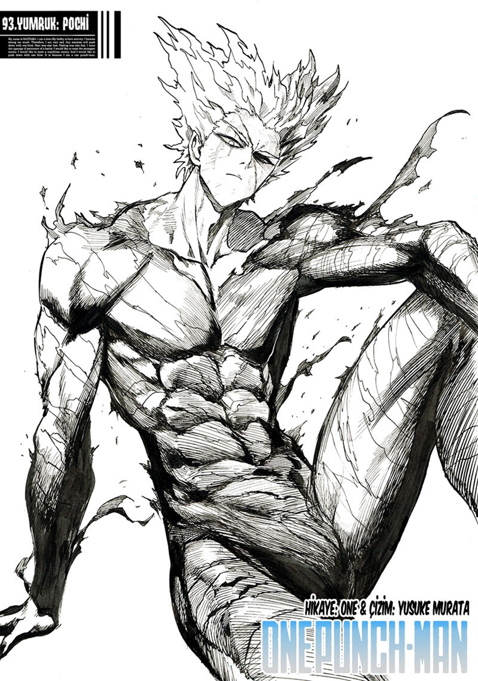 Read Tek Yumruk TR Manga Online