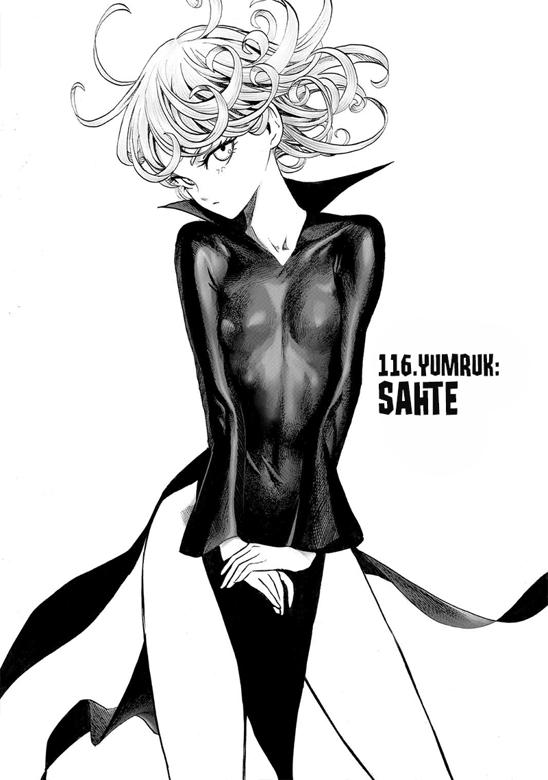 Read Tek Yumruk TR Manga Online