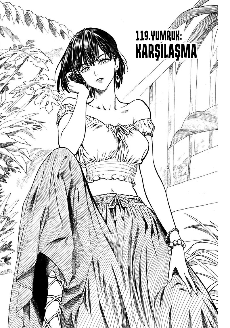 Read Tek Yumruk TR Manga Online