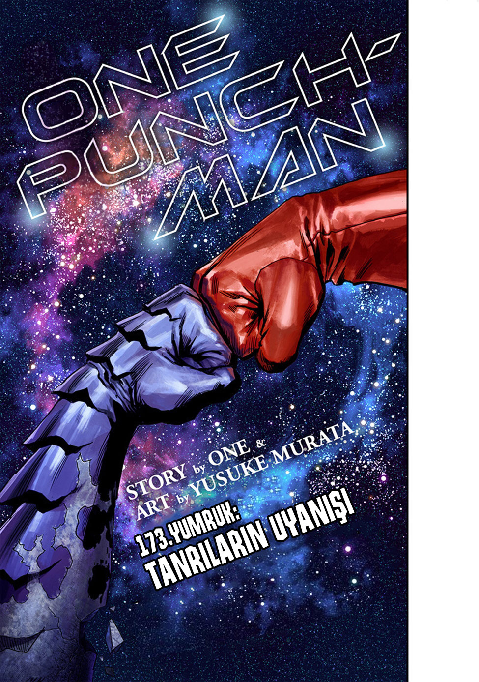 Read Tek Yumruk TR Manga Online